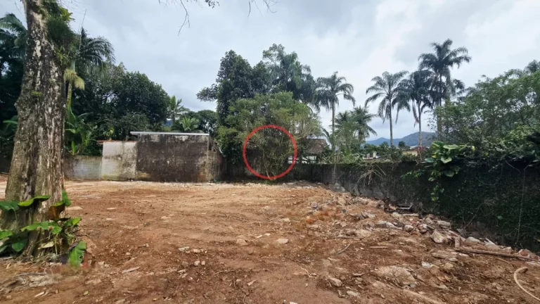 Imagem TERRENO EM BOIÇUCANGA 1300 METROS QUADRADOS, TODO MURADO,BEM LOCALIZADO,PERTO DE TODA ESTRUTURA DO BAIRRO.OPORTUNIDADE