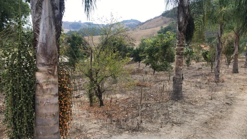 Imagem Sítio Maravilhoso à Venda em Bonfim/MG, com 9 hectares de terra