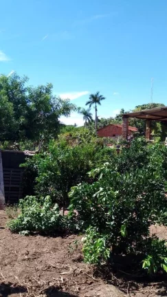 Imagem CHÁCARA A VENDA EM RIO PRETO