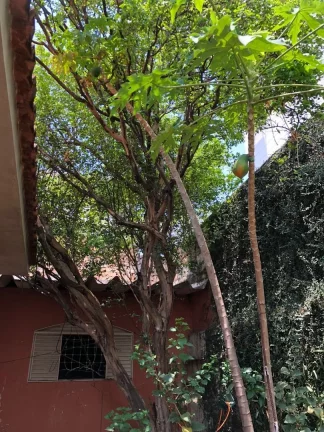 Imagem Casa com ponto comercial à venda no Setor Marista - Goiânia/GO