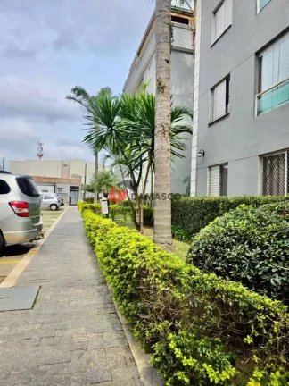 Imagem Apartamento à venda, Vila São Pedro, Santo André