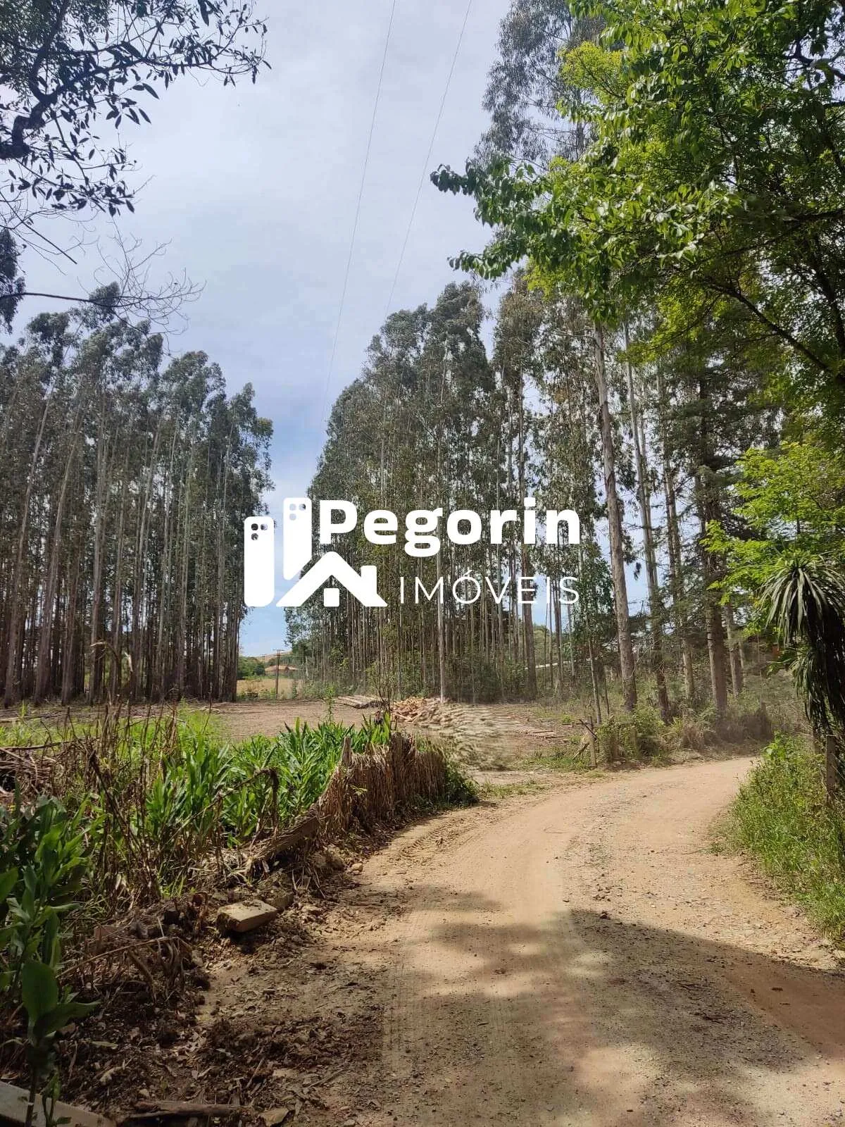 Imagem Chácara para Venda, Campo Magro / PR, bairro Hervalzinho, área total 24.397,00 m²