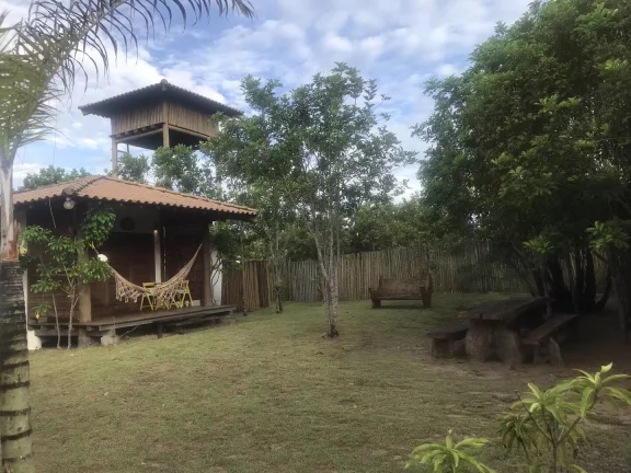 Imagem TERRA DOS PÁSSAROS