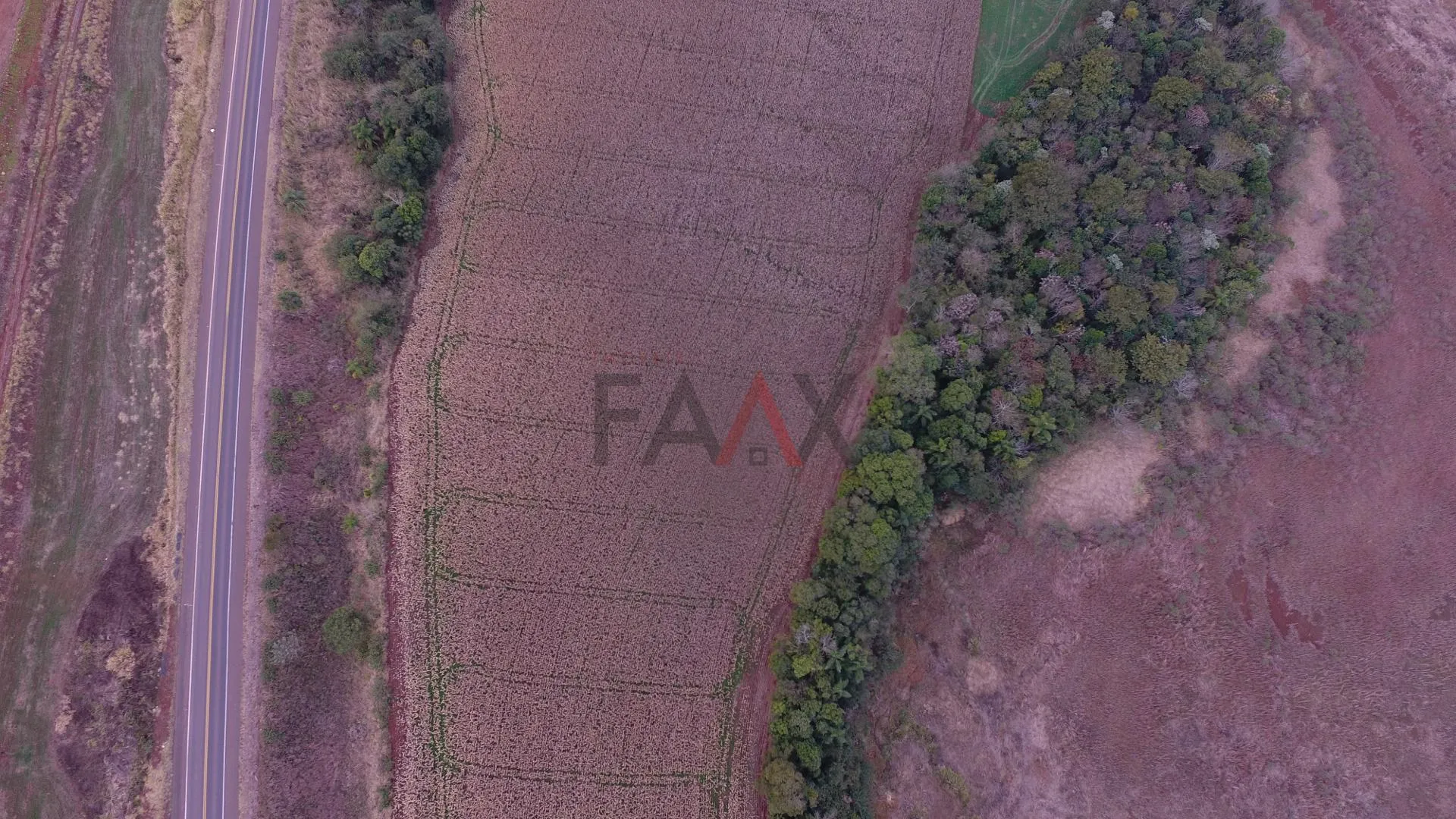 Imagem Chácara, ALAGADO, GUARAPUAVA - PR