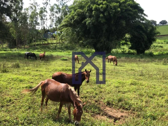 Imagem Sítio com 3 dormitórios à venda, 359300 m² por R$ 2.200.000,00 - Zona Rural - Pedralva/MG