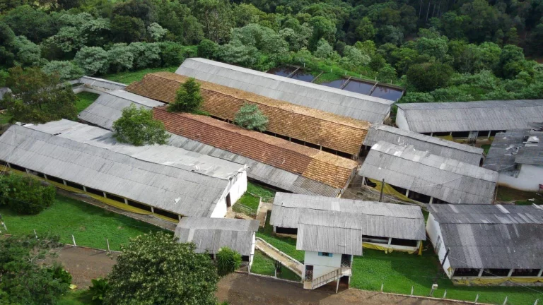 Imagem Granja para Venda em Irani, Rural