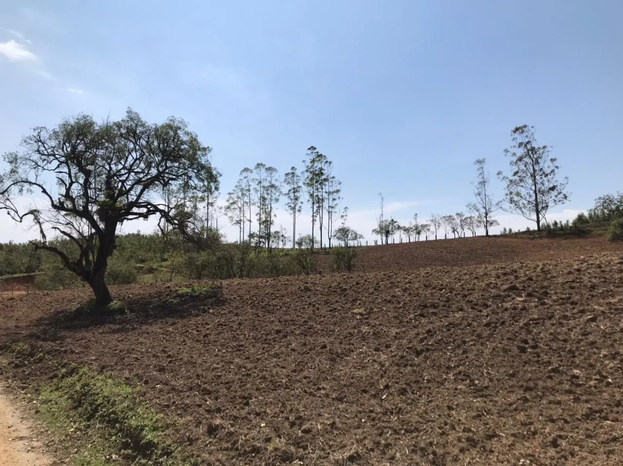 Imagem Refúgio Sereno: Propriedade com Carvoaria e Potencial de Renda em Pilar do Sul