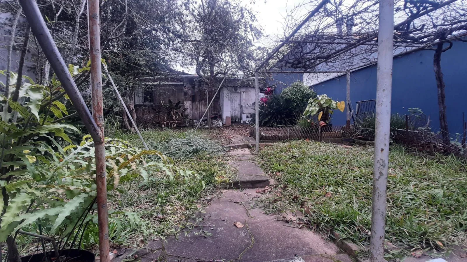 Imagem Terreno em Vila Ipiranga