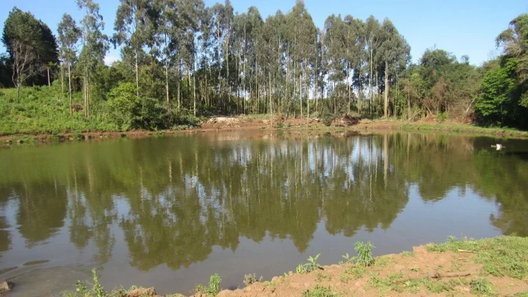 Imagem Casa para Venda em Lindóia do Sul, Centro, 1 dormitório, 1 banheiro