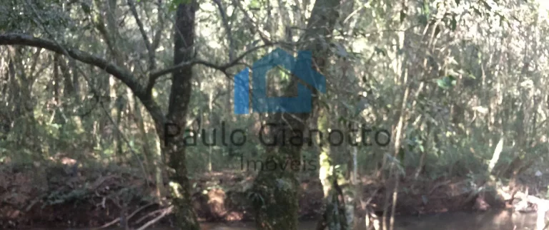 Imagem Área à venda 1.300 m2 em Ibiúna, perto do Hotel Paraty