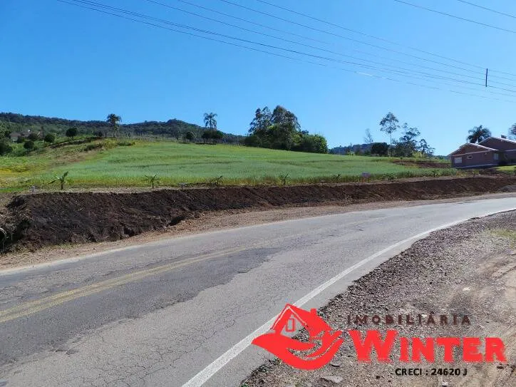 Imagem Amplos terrenos as margens da VRS 826 em Arroio Feliz-Feliz