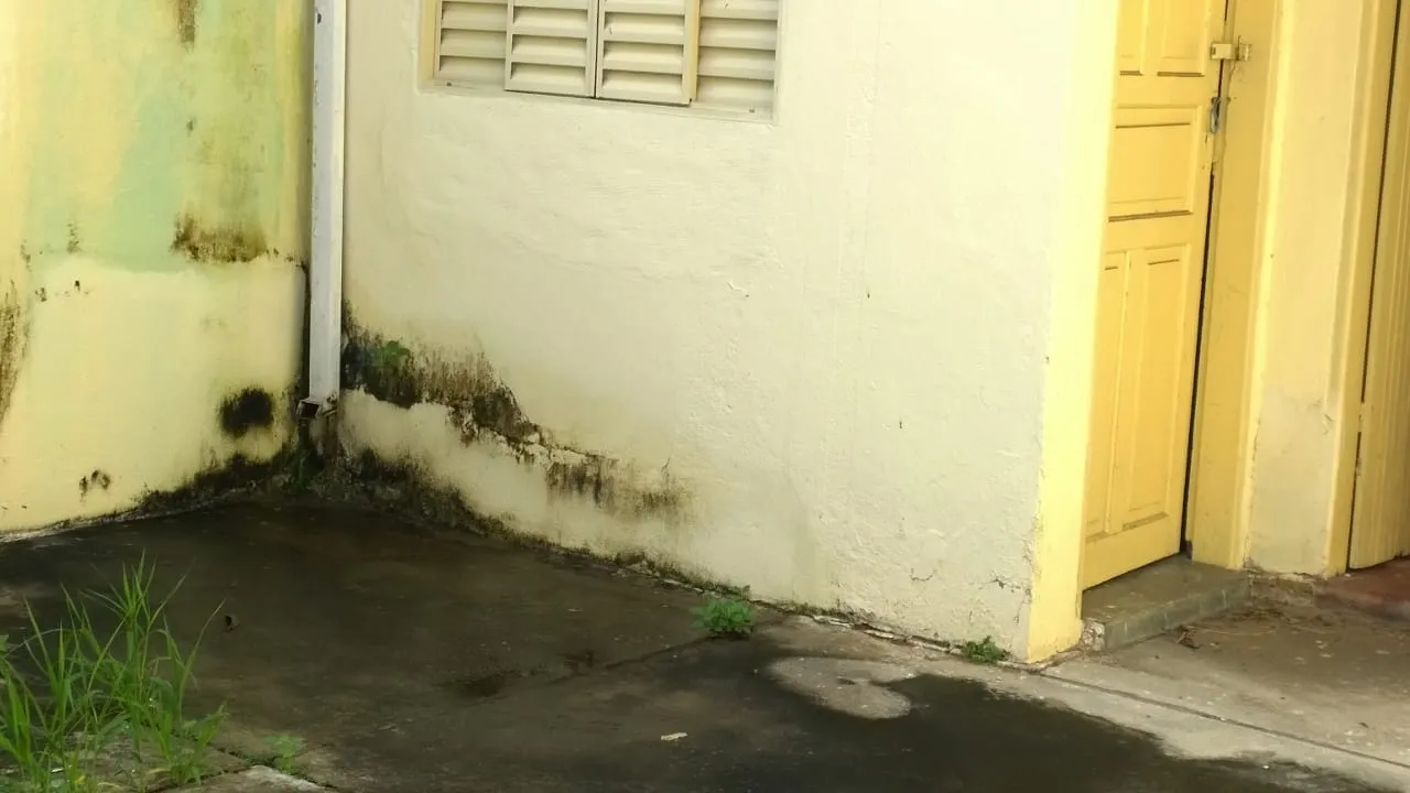 Imagem Casa à venda 3 Quartos, 1 Vaga, 246M², Abaete, Taubaté - SP