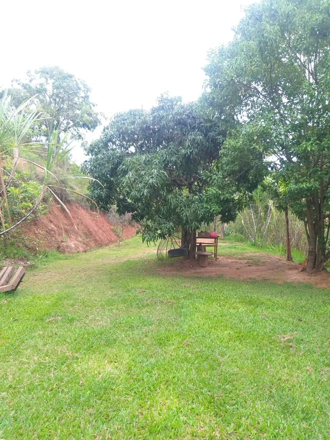 Imagem Chácara à venda 2 Quartos, 6 Vagas, 6000M², Borba, Pindamonhangaba - SP