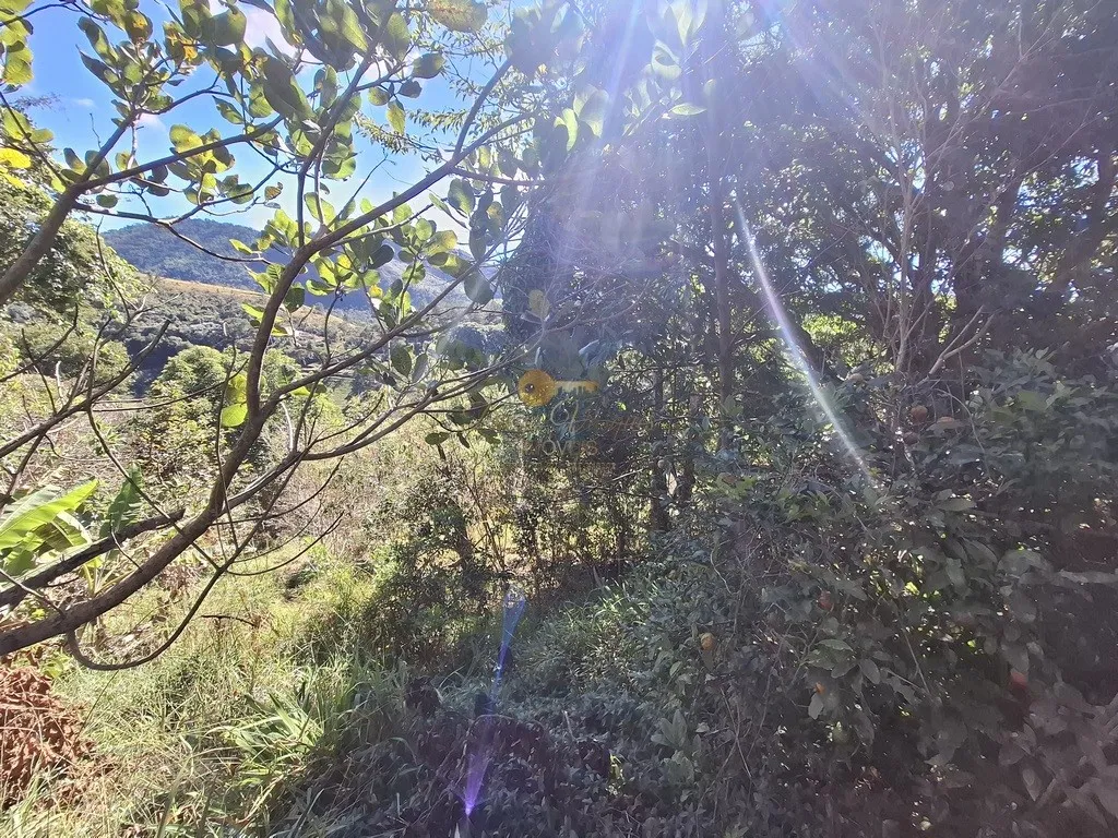 Imagem Terreno para Venda em Teresópolis / RJ no bairro Jardim Salaco