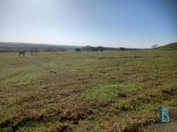Imagem Sítio 30 alqueires extra imperdível - Oportunidade Única! em Cornélio Procópio PR