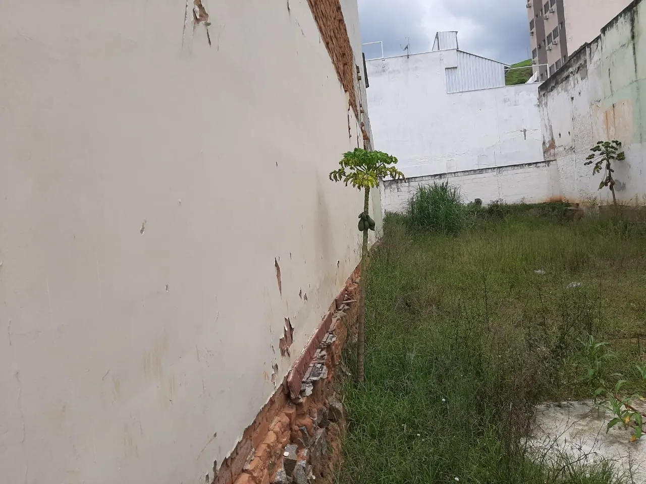 Imagem Comercial à venda Santa Rita, Aparecida - SP