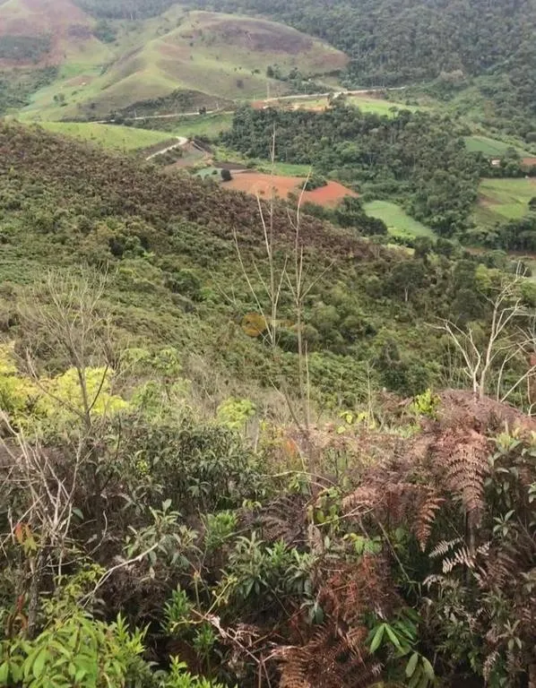 Terreno para Venda em Nova Friburgo / RJ em Avenida Presidente Costa e Silva