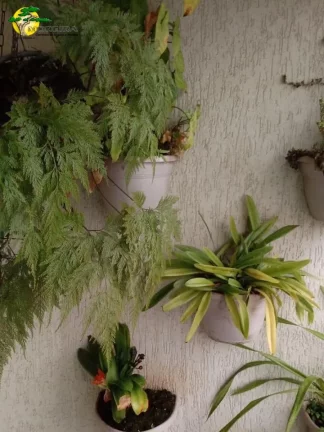 Imagem APARTAMENTO PARA VENDA NA VILA GUILHERME