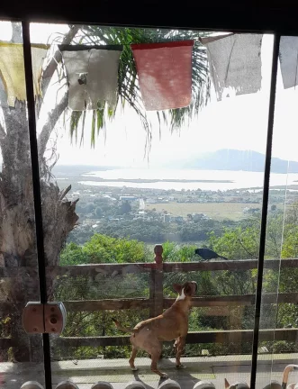 Imagem Casa Rústica em Garopaba-SC: 3 Suítes, Vista Panorâmica, Jacuzzi e 3000m² de Terreno