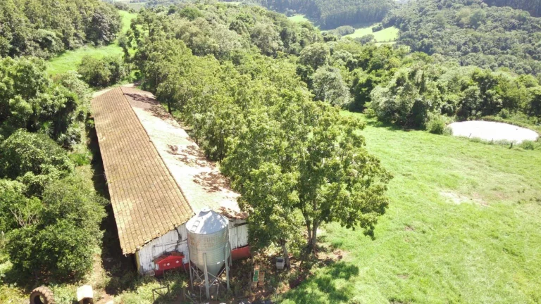 Imagem Área Agrícola para Venda em Ipumirim, Rural
