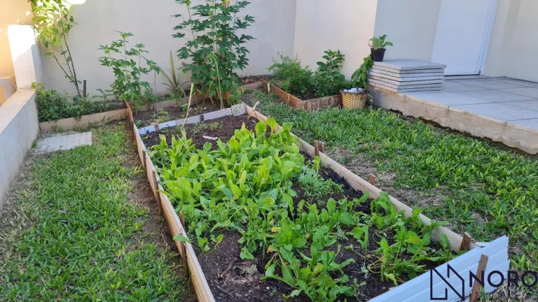 Imagem Casa Espaçosa com Edícula e Amplo Pátio - Bairro Nossa Senhora do Perpétuo Socor