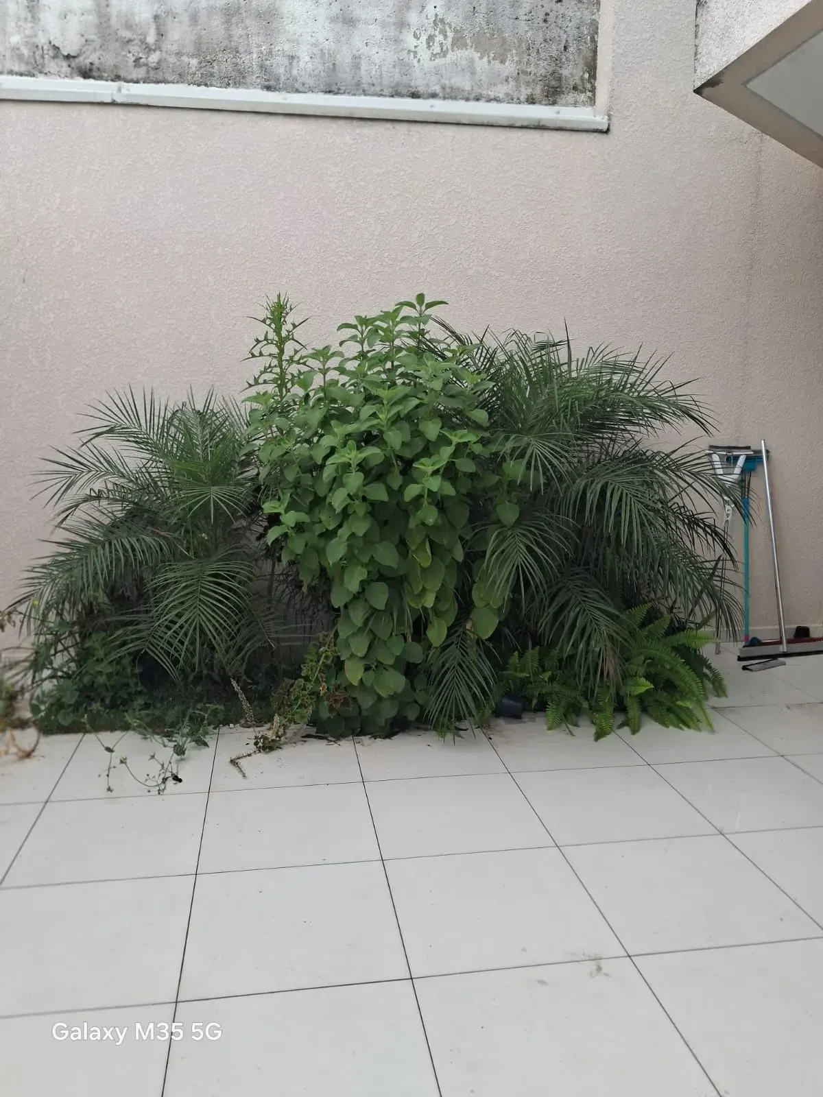 Imagem Sobrado com 3 Quartos à Venda, 217 m² em Jardim dos Ipês - Suzano