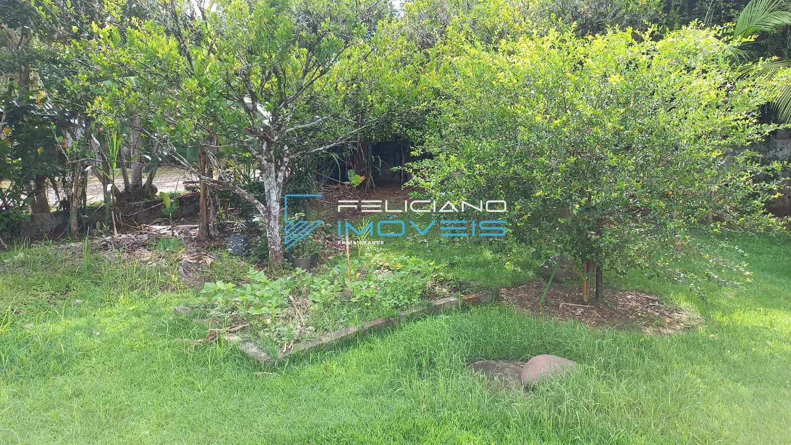 Imagem Chácara com 3 quartos, sitio, Pedro de Toledo - R$ 430 mil, Cod: 5655