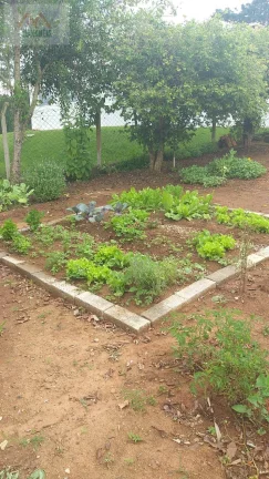 Imagem TERRENO JARDIM CANANÉIA