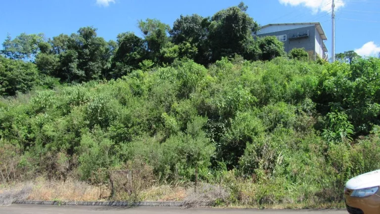 Imagem Terreno para Venda em Concórdia, Primavera