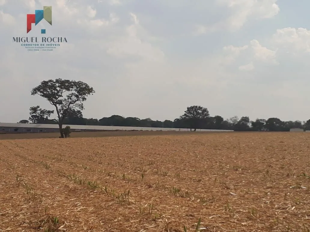 Imagem Sítio a venda Cesário Lange SP