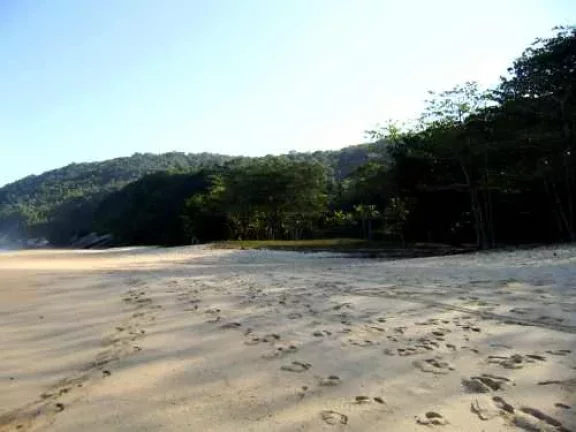 Imagem Área de 296.000 m2 - Sendo 190 mts de Frente para Praia do Simão.