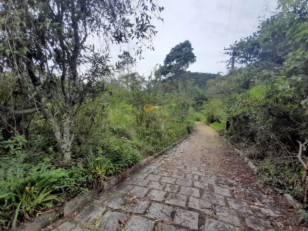 Imagem Terreno para Venda em Teresópolis / RJ no bairro Colônia Alpina