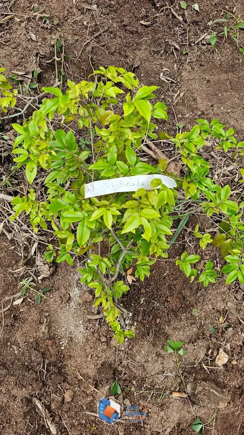 Imagem Terreno à venda, Portal Roselândia, Cotia, SP