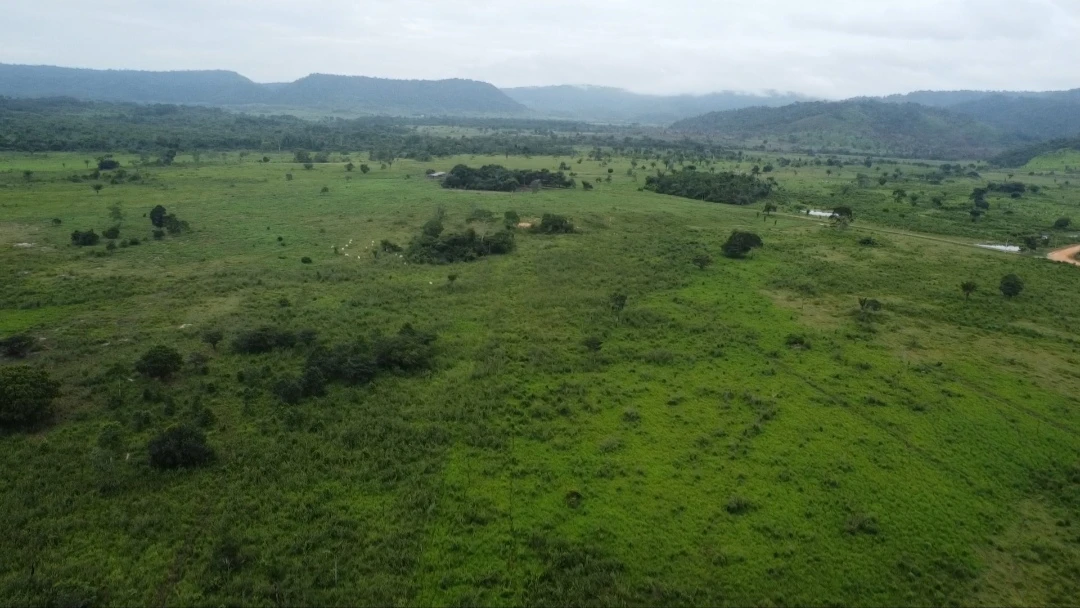 Imagem Fazenda à Venda, 90024 Alq. GO em São Félix do Xingu - São Félix do Xingu