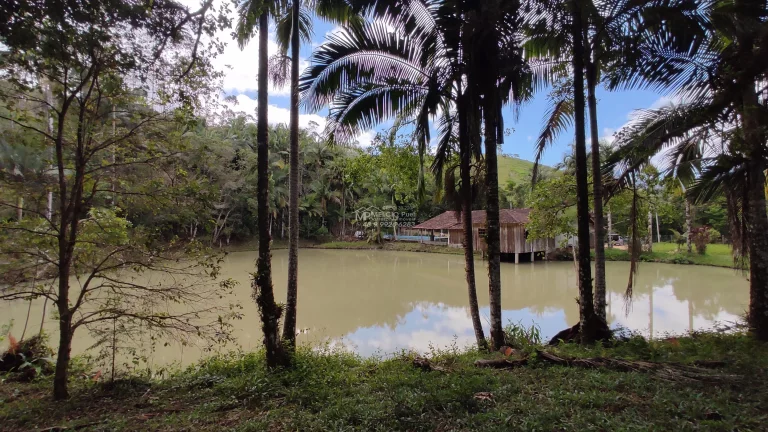 Imagem Propriedade ideal para fazer Sítio para Aluguel. Pois ja tem prontos 8 área com terraplanagem, pronto para construir.