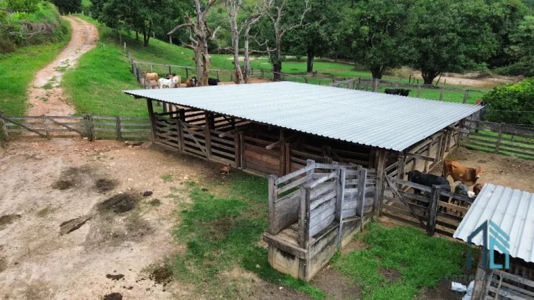 Imagem Fazenda a venda 82 alqueires em Campinacu -Goiania - GO