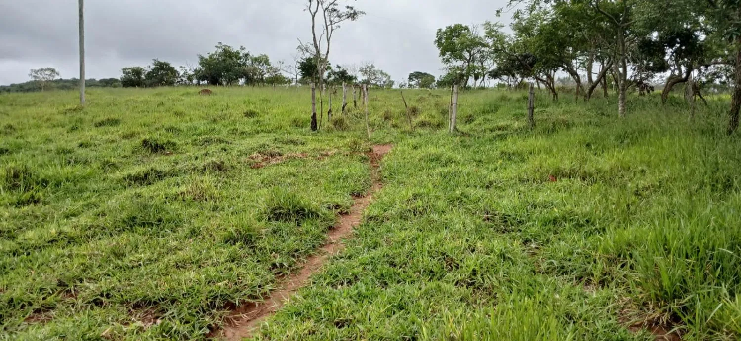 Imagem SÍTIO ESPETACULAR À VENDA EM PASSA TEMPO/MG -- 5,9 hectares de terra