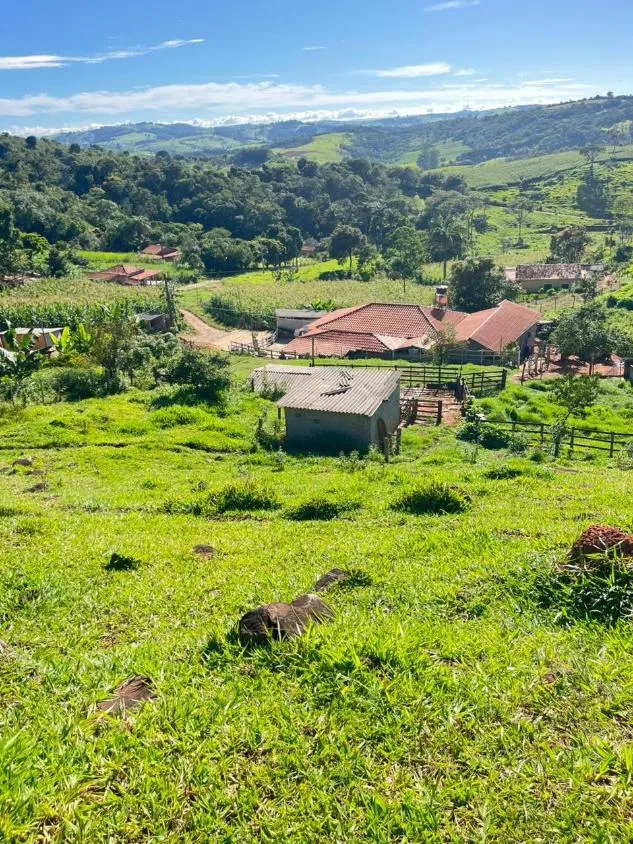 Imagem Vendo um excelente sítio em Crucilândia/MG , área total de 3 hectares (30.000 m²)