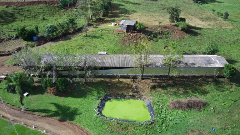 Imagem Área Agrícola para Venda em Jaborá, Rural