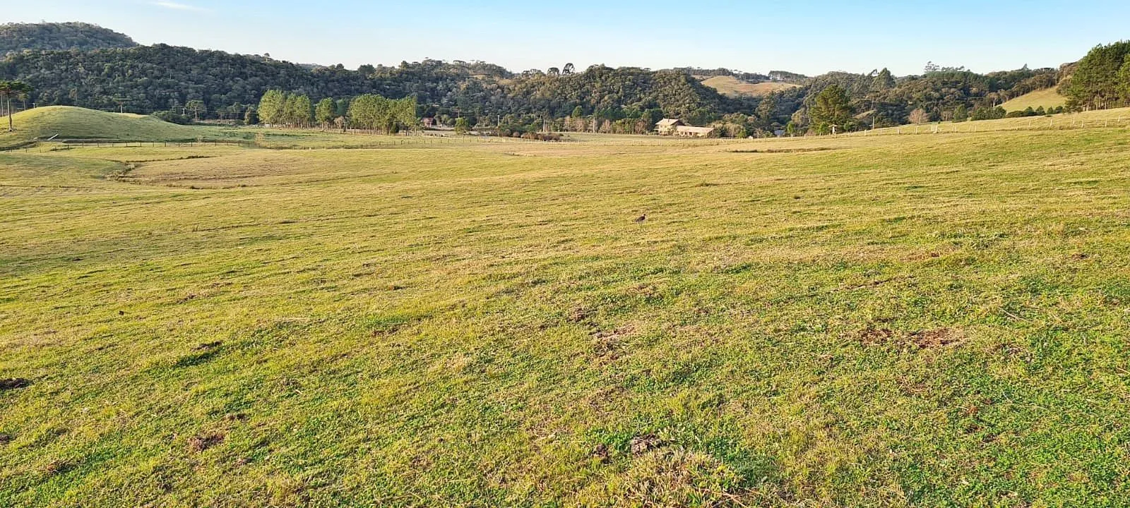 Oportunidade Única! Terreno com 4 Lagos e Escritura Pública em Rancho Queimado - 27,6 ha