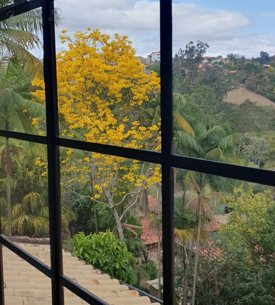 Imagem Casa completa com edícula, piscina e excelente espaço - Vila Rica