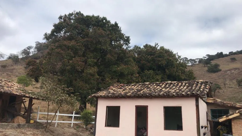 Imagem Sítio Maravilhoso à Venda em Bonfim/MG, com 9 hectares de terra