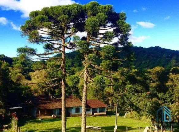 Imagem Sítio ótima localização, documentada, 15 alqueires com casas, Tijucas do Sul - PR