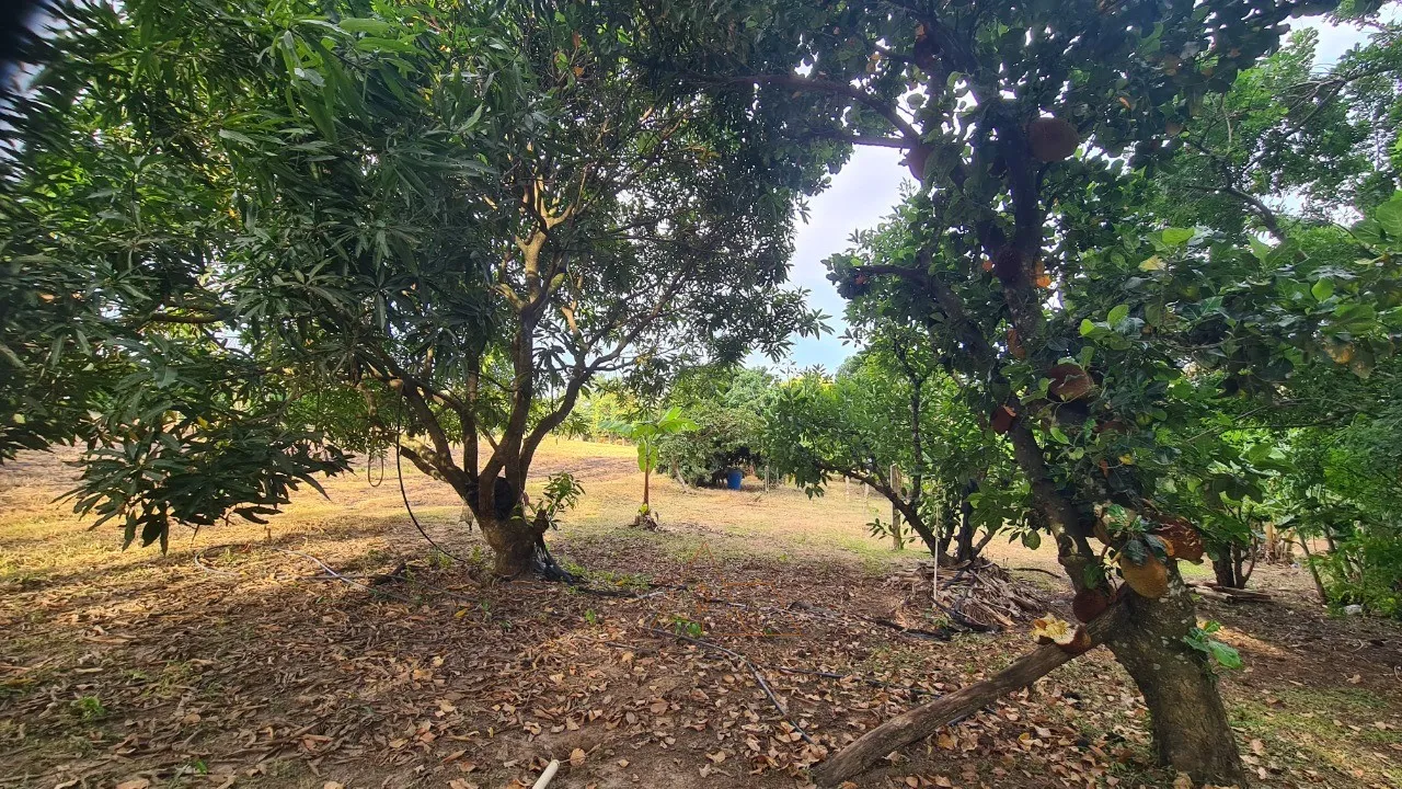 Foto do imóvel Chacara à venda em Cesário Lange-SP, bairro Guarapó, com 5.287,00 m² de área: sua oportunidade de investimento!