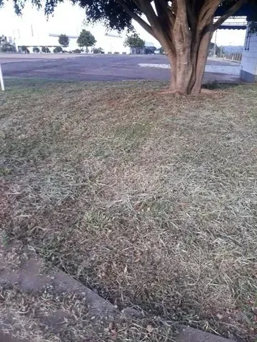 Imagem Barracão Comercial/Indusrial em Araraquara - SP
