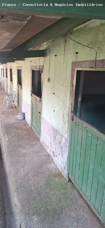 Imagem Haras para Locação em São Bernardo do Campo, Balneária