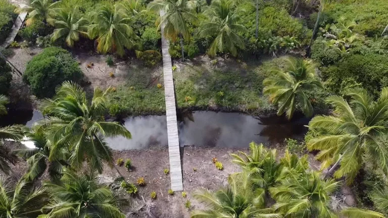 Imagem Bombaça Frente Mar
