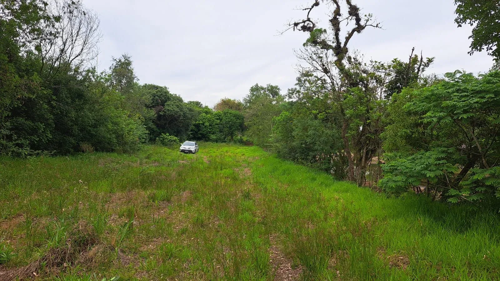 Imagem TERRENO BAIRRO EM CANOAS