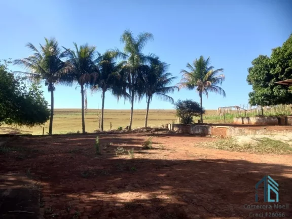 Imagem Sítio 30 alqueires extra imperdível - Oportunidade Única! em Cornélio Procópio PR