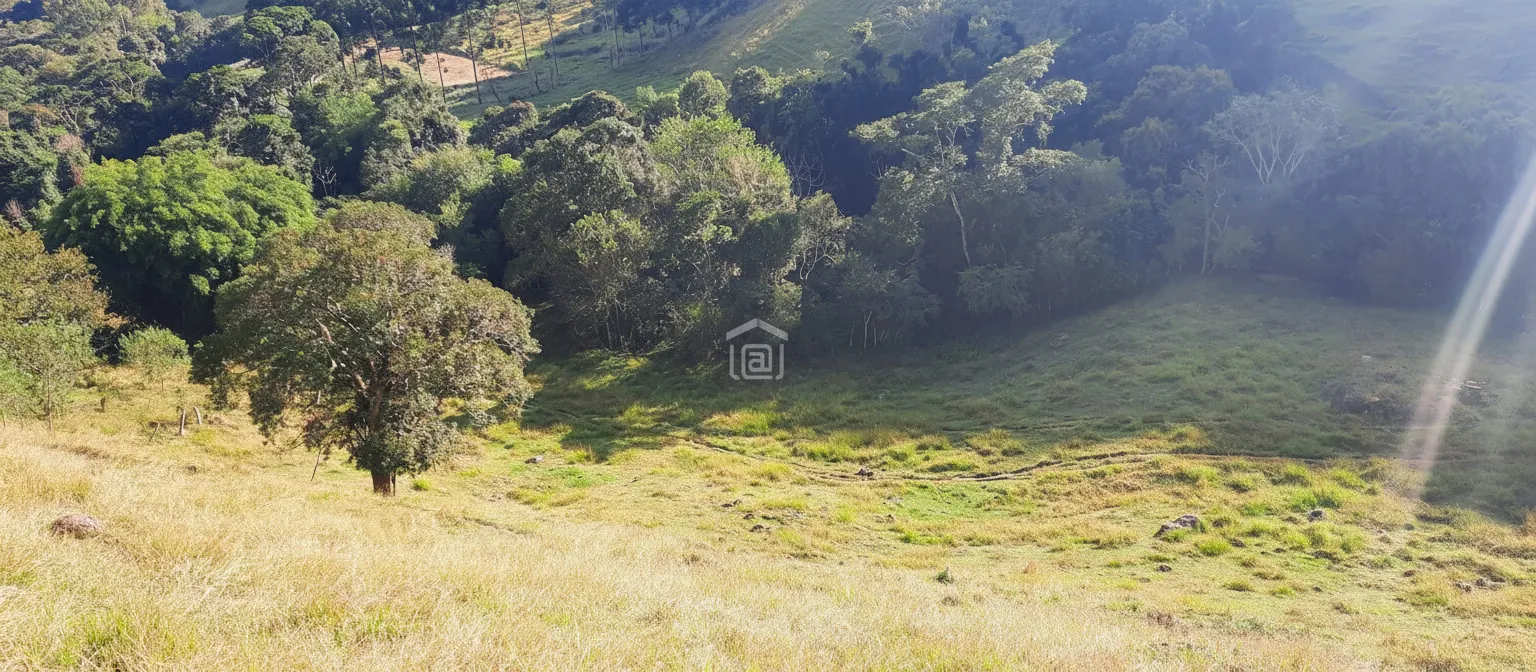 Imagem Sítio à venda em Córrego das Foices, Bandeira do Sul
